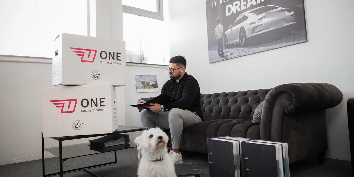 Mitarbeiter der One Umzugsspedition sitzt mit einer Mappe auf dem Sofa und macht sich Notizen, daneben stehen zwei ONE-Umzugskartons.