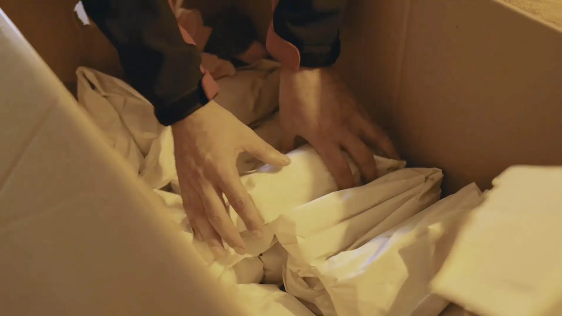 Hände eines Mitarbeiters legen in Packpapier eingeschlagenes Geschirr dicht an dicht in einen Umzugskarton.